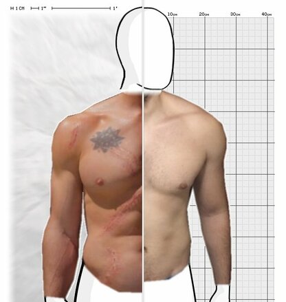 Torso Comparison