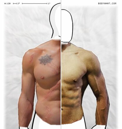 Torso Comparison