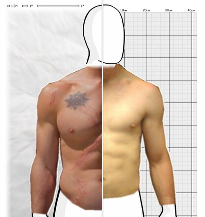 Torso Comparison