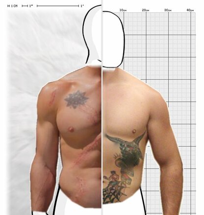 Torso Comparison