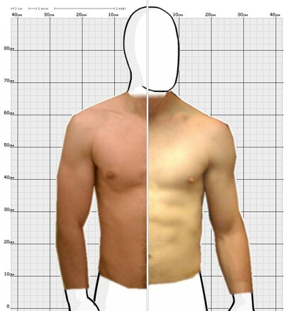 Torso Comparison