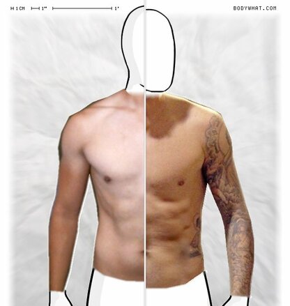 Torso Comparison