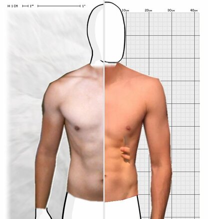 Torso Comparison