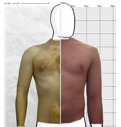 Torso Comparison