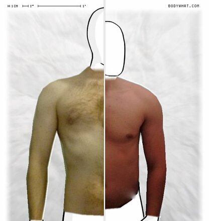 Torso Comparison
