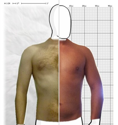 Torso Comparison