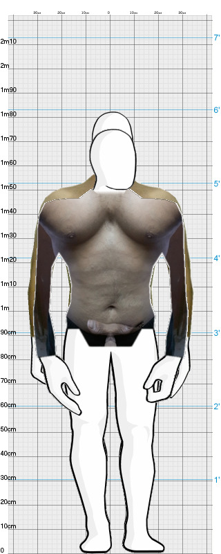 Full Size Comparison
