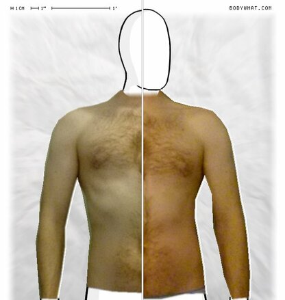 Torso Comparison