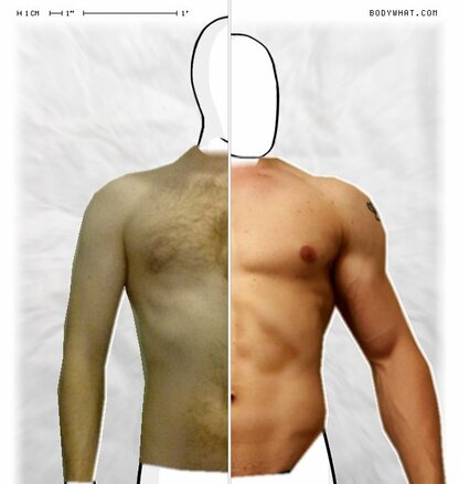 Torso Comparison
