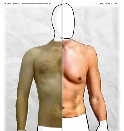 Torso Comparison
