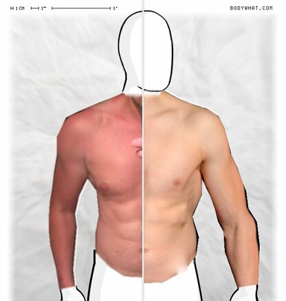 Torso Comparison