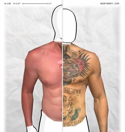 Torso Comparison