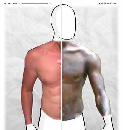 Torso Comparison