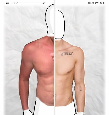 Torso Comparison