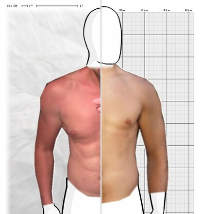 Torso Comparison