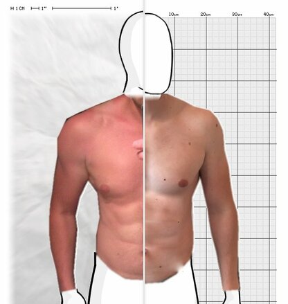 Torso Comparison