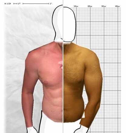 Torso Comparison