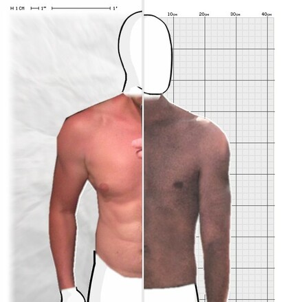 Torso Comparison