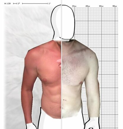 Torso Comparison