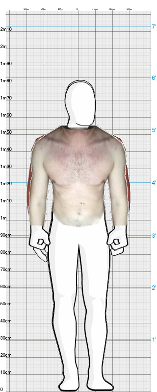 Full Size Comparison