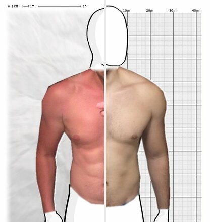 Torso Comparison