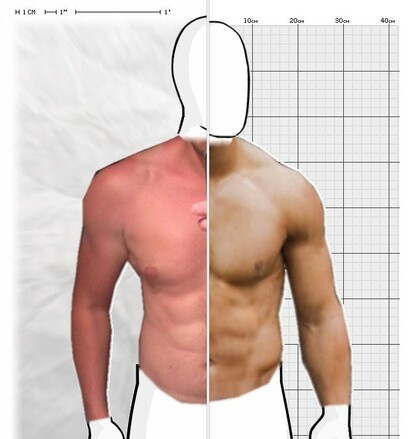 Torso Comparison