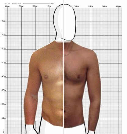 Torso Comparison