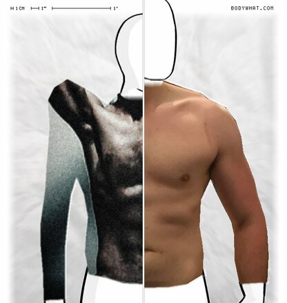 Torso Comparison