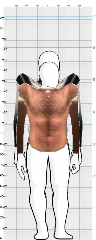 Full Size Comparison