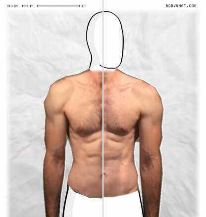 Torso Comparison