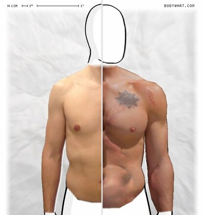 Torso Comparison