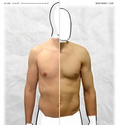 Torso Comparison