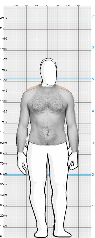 Full Size Comparison