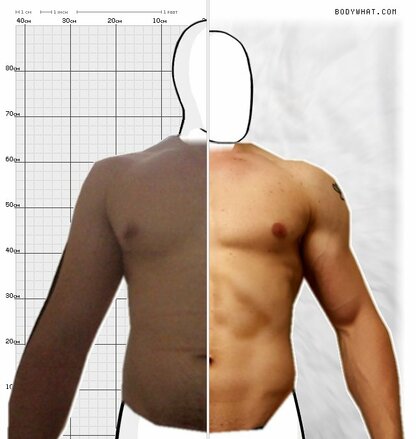 Torso Comparison