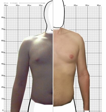 Torso Comparison