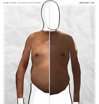 Torso Comparison