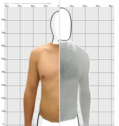 Torso Comparison