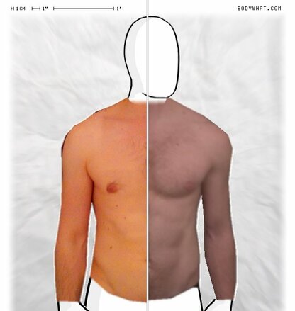 Torso Comparison