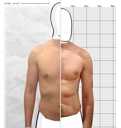 Torso Comparison