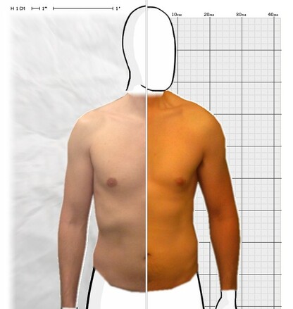 Torso Comparison