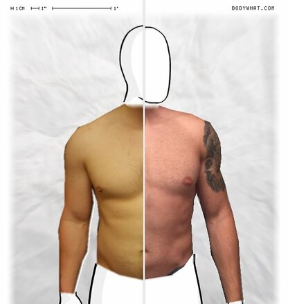 Torso Comparison