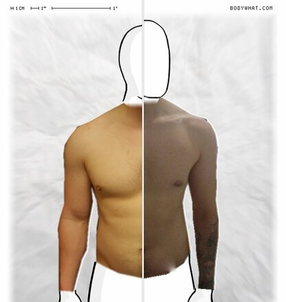 Torso Comparison