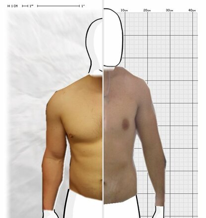 Torso Comparison