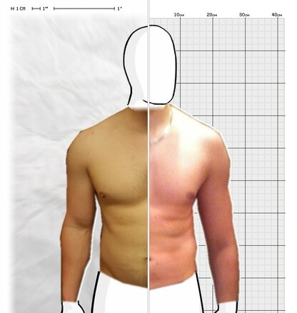 Torso Comparison