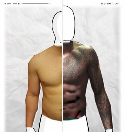 Torso Comparison