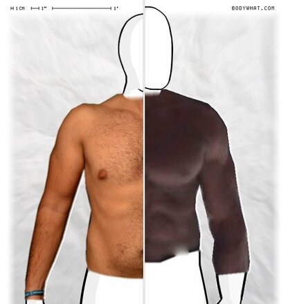 Torso Comparison