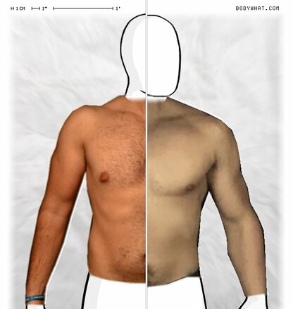 Torso Comparison