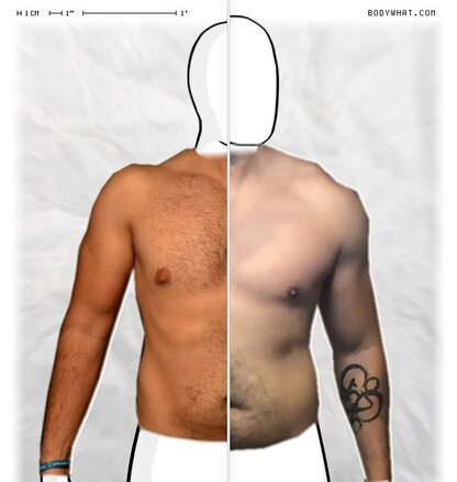 Torso Comparison