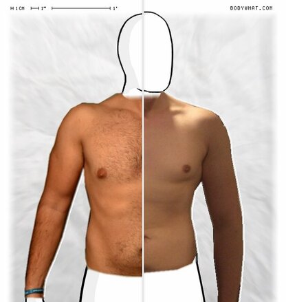 Torso Comparison