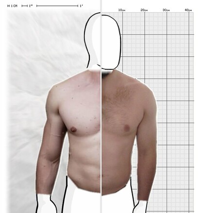 Torso Comparison